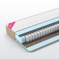 Практик Ролл Спринг Плюс