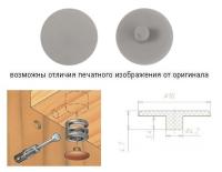 Заглушка эксцентрика d_4 Серый
