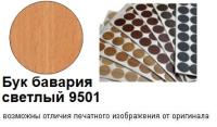 Бук бавария светлый 9501