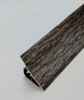 MRK120_1138 Дуб серебристый