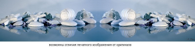 SP 027