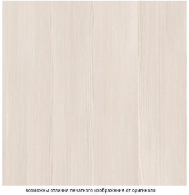 Бодега светлая