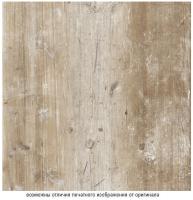 Финдус бежевый