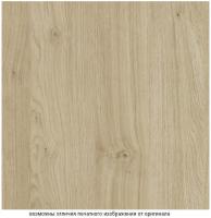 ЛДСП Дуб Кендал натуральный Н3170