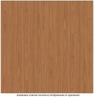 Вишня Локарно Н1636