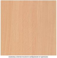 Бук светлый