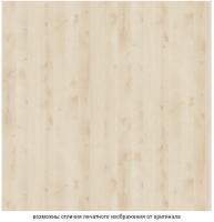 Береза нордик