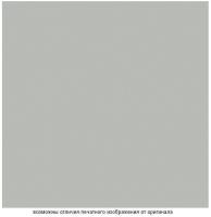 Серебристый металлик D6902